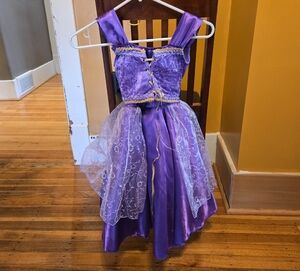 Disney Purple and Gold Princess Dress Costume
